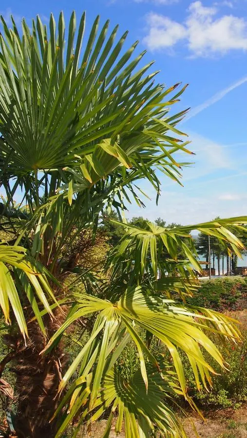 Hébergement de vacances Belle villa à 150m de la plage. Locquirec France