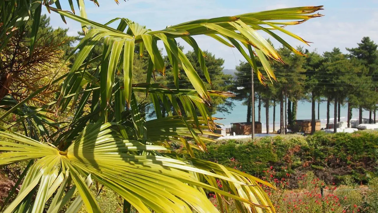 Hébergement de vacances Belle villa à 150m de la plage. Locquirec
